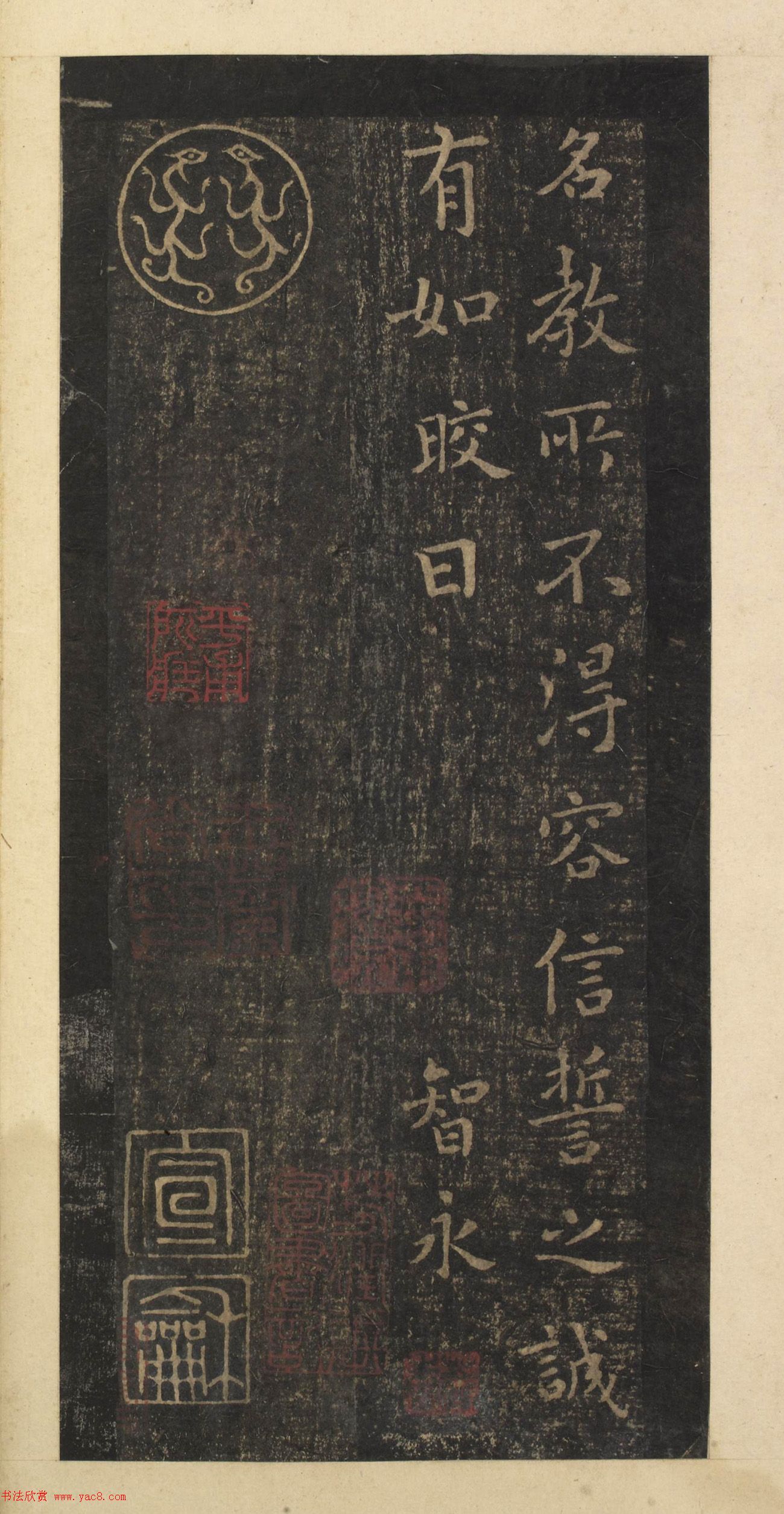 云南花卉批发基地之旅探寻大理昆明与丽江的花海秘密