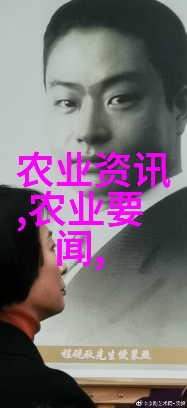 岁月的守望一棵枫树的故事