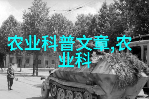 大巴山斑马纹杂交猪