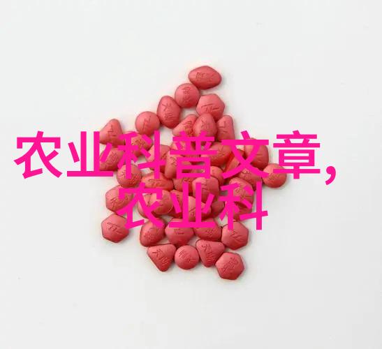 农村青年就业技能提升计划
