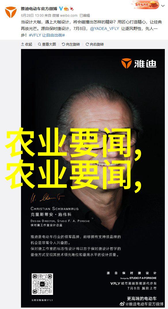 春日绽放花卉种植图片中的色彩盛宴