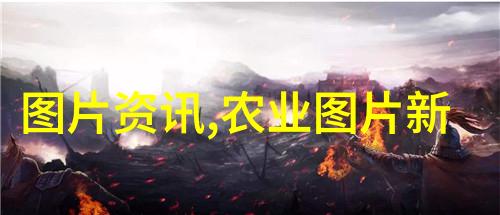 四棱豆栽培整地技术要求犹如精心雕琢一件艺术品