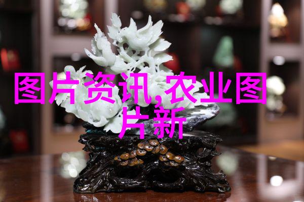 山东寿光蔬菜种植技艺研讨会