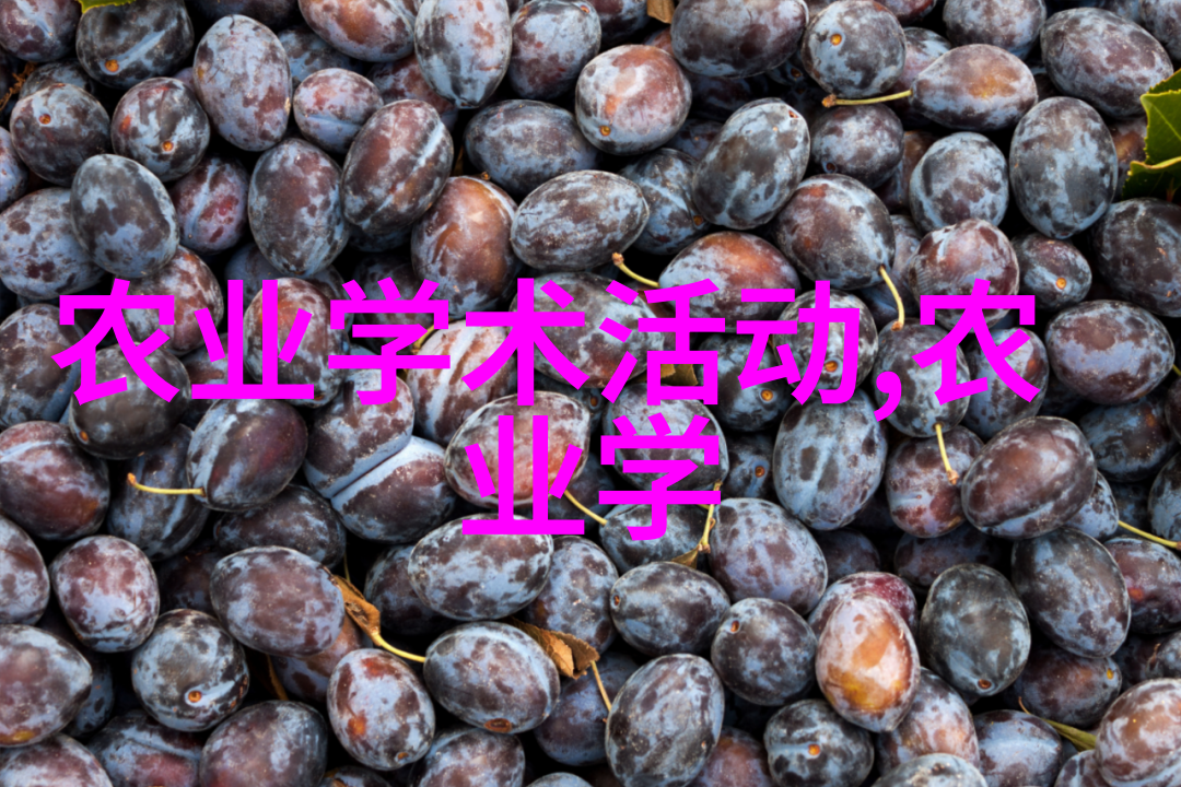 广东中药材种植基地我在这里的故事从一粒种子到全国知名