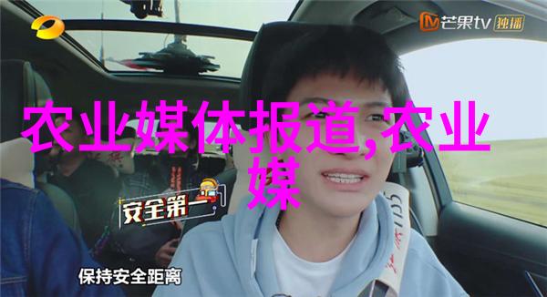 茶树的介绍绿色香气与悠久文化