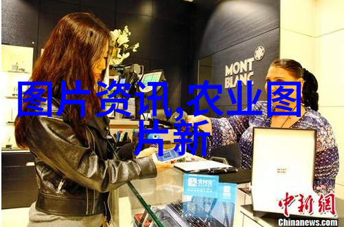 蜜蜂养殖大师从无知小白到蜂后专家