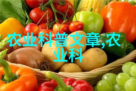 室内小宝库创富秘诀在此