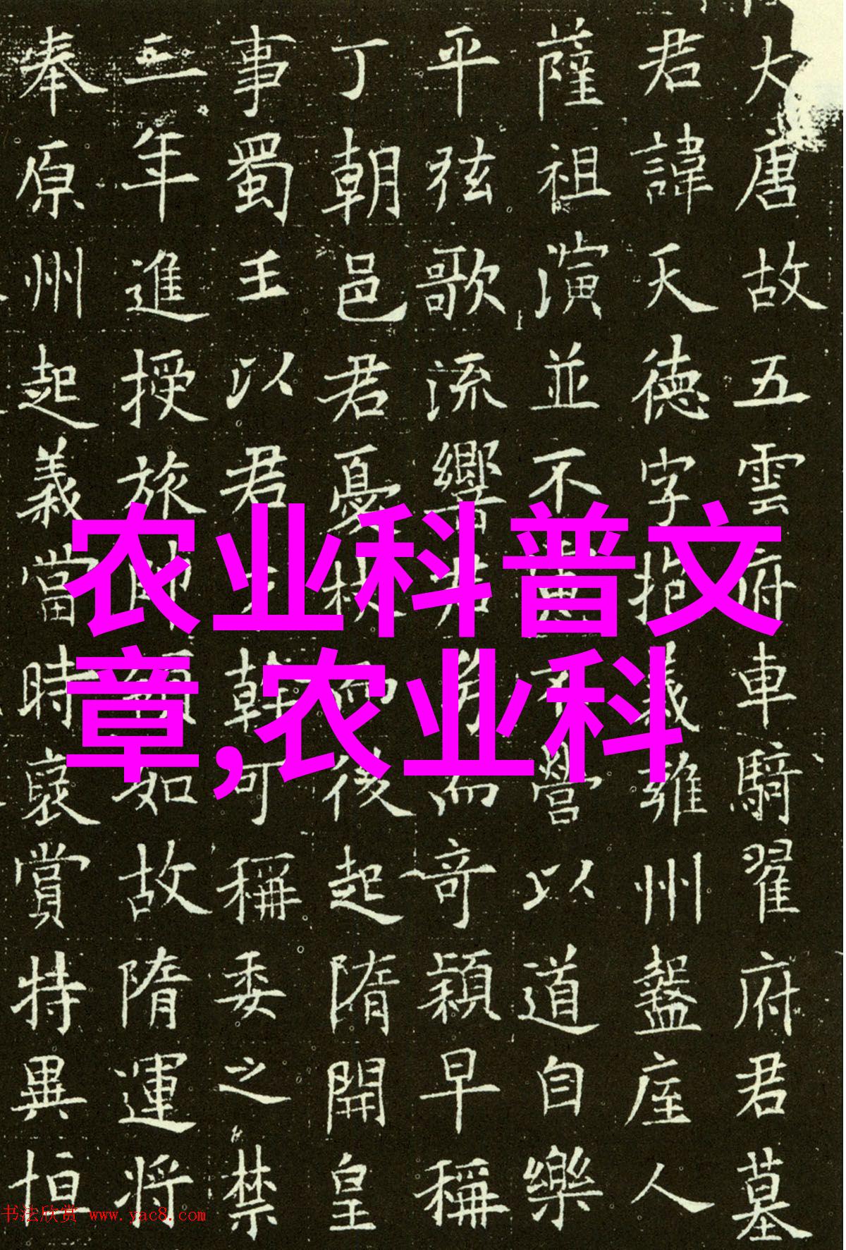 重生之天才神棍 - 逆袭的巫师重生之天才神棍的奇迹征程