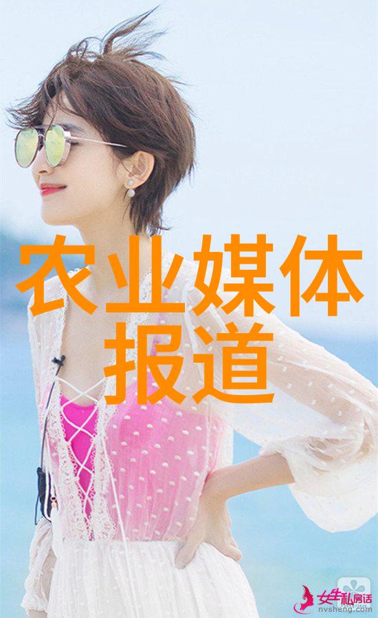 法治国篇章全面实施法律法规的重要性与挑战