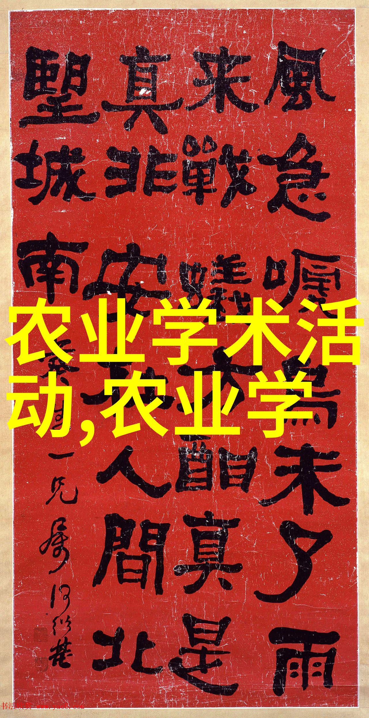 养羊入门指南理解基础知识与准备工作