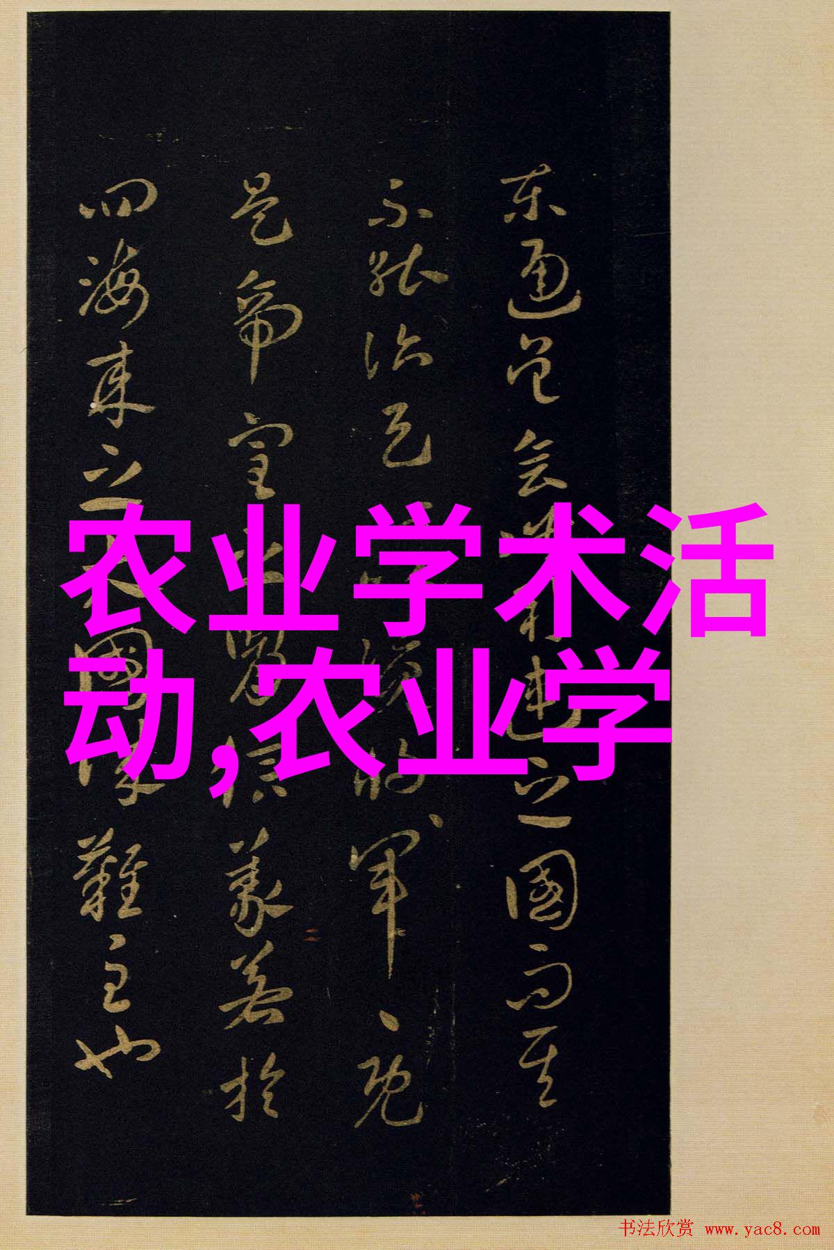 奇幻生物-姬菇之谜森林中的神秘栋梁