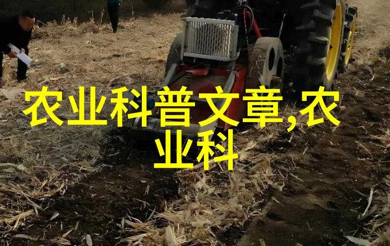 民族之光中央民族大学的学术璀璨