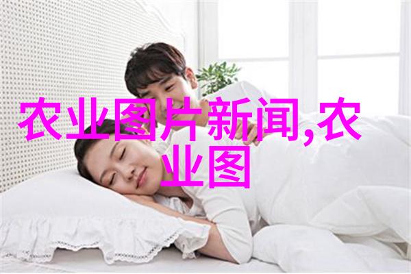 金叶复叶槭价格表2021让你的园艺梦想在花钱之前先飞起来