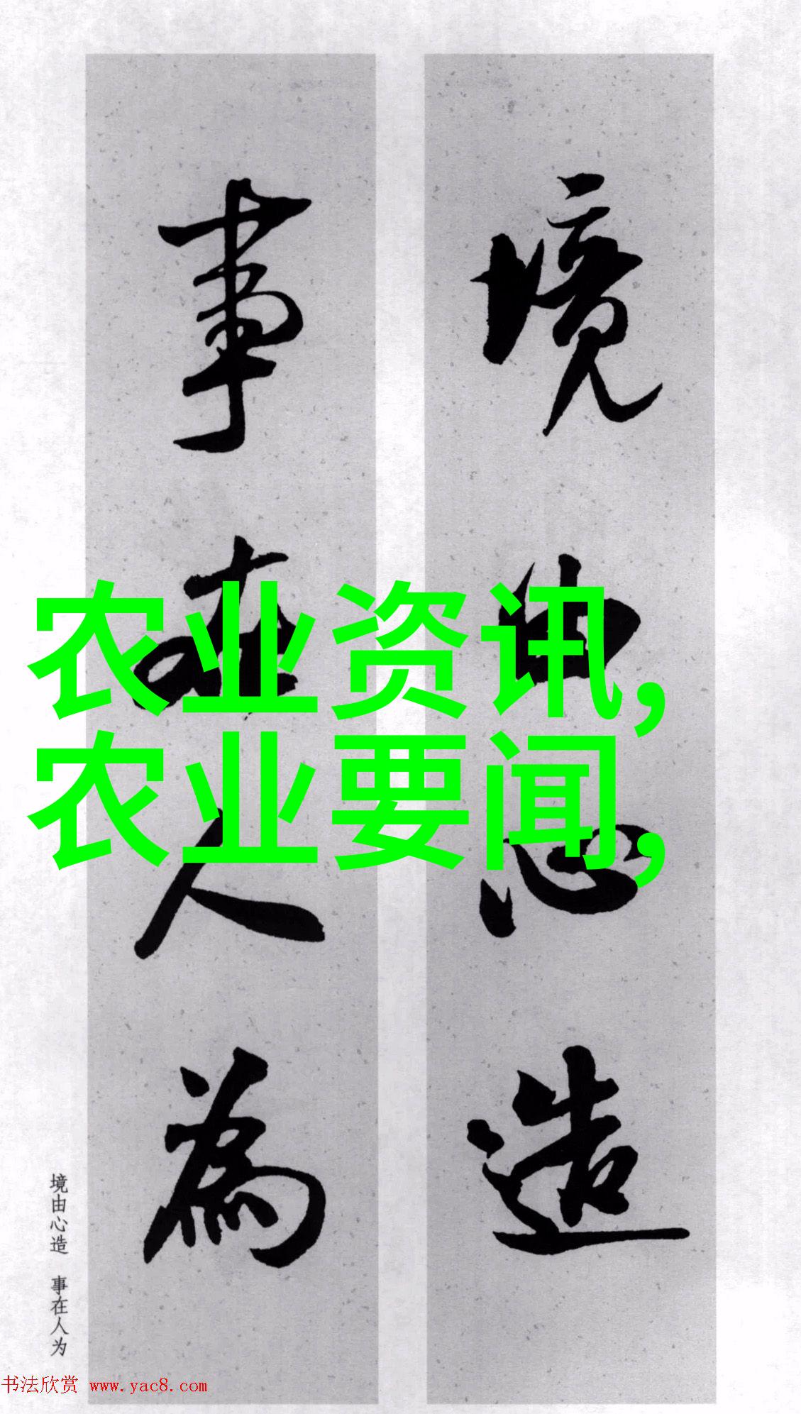 公交车后座奇妙生活公交车后座的细节趣事