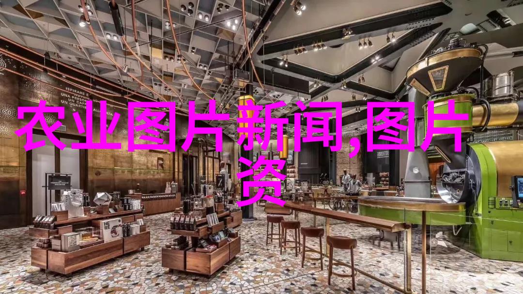 2023年高收益植物种植利润丰厚的家庭菜园
