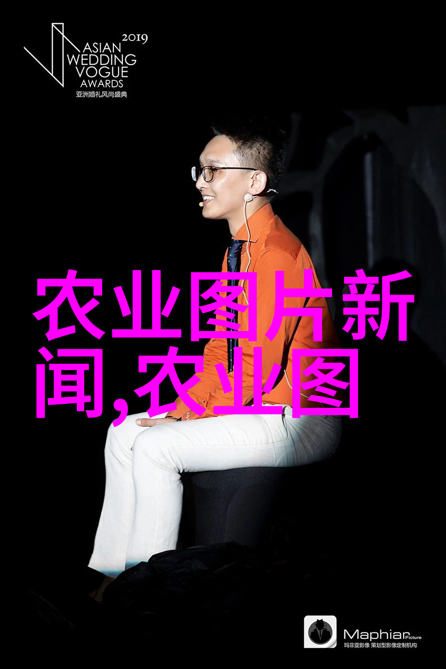 茶叶的基本种类六种绿茶红茶白茶乌龙茶黄焖茶普洱