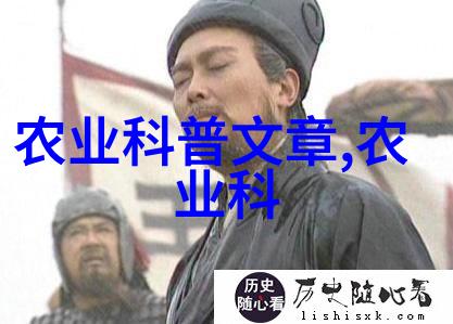 茶树的生长环境与养护要领