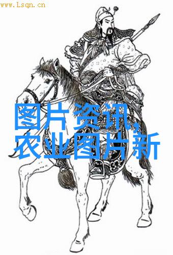 刮油减肥喝茶秘籍揭秘最佳饮品助你瘦身