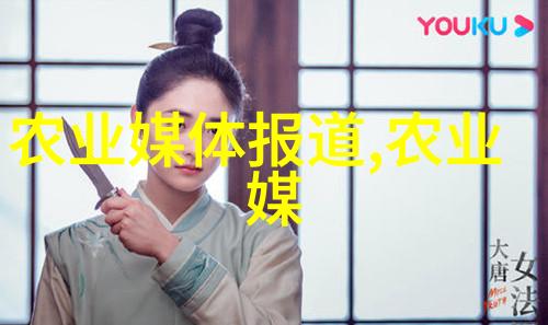 家用至简美观精选优质材料高性价比的12公尺长方形桌子