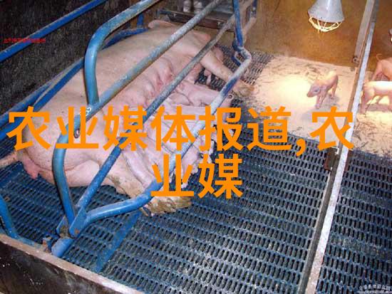 健康不易买深度报道最贵中医治疗之道