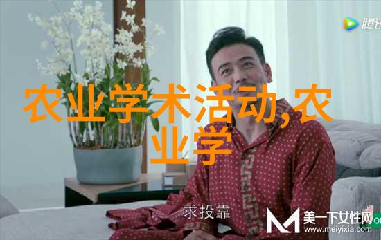 绿意盎然的佳肴十字花科蔬菜的魅力之旅