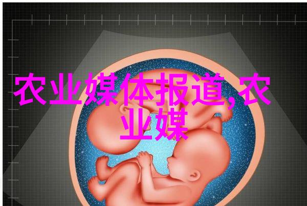 遮阳栽培二亩地大棚建造全解析