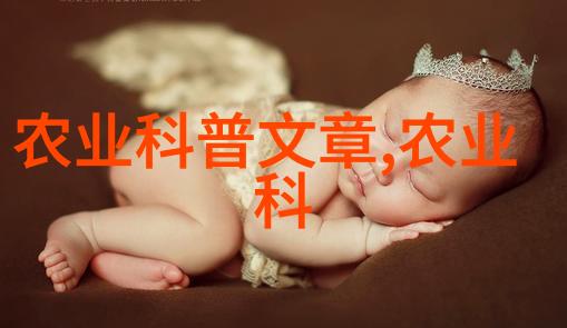 农资进销存台账管理系统精准农业供应链优化平台