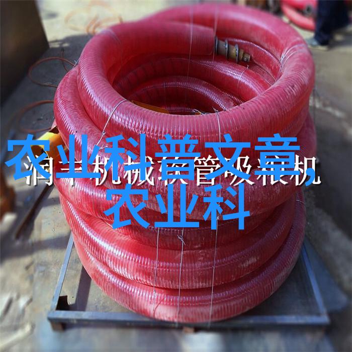 认识水果的种子亲手种下未来