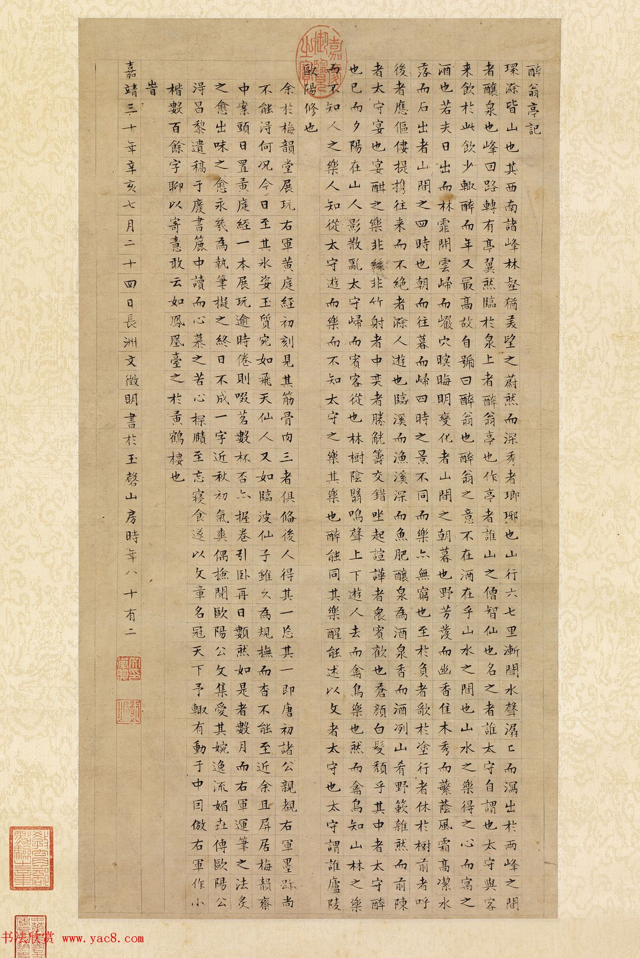 宠物医疗技术进步专升本需求日增