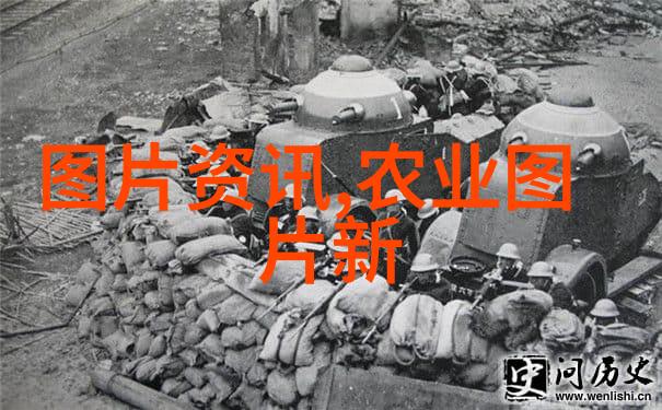 茶树的介绍绿叶香气的传说