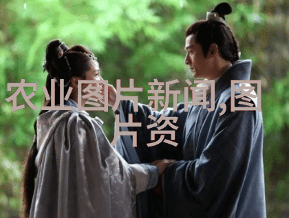 花海之恋探索各类花卉养殖技术的艺术与科学