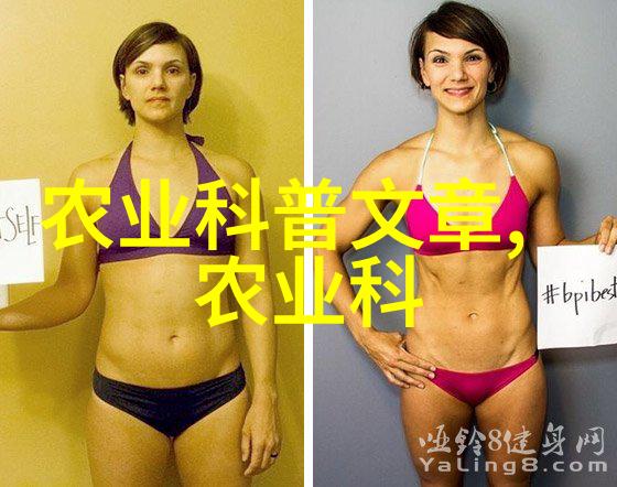秸秆打捆机高效节能的农作物废弃物整理解决方案