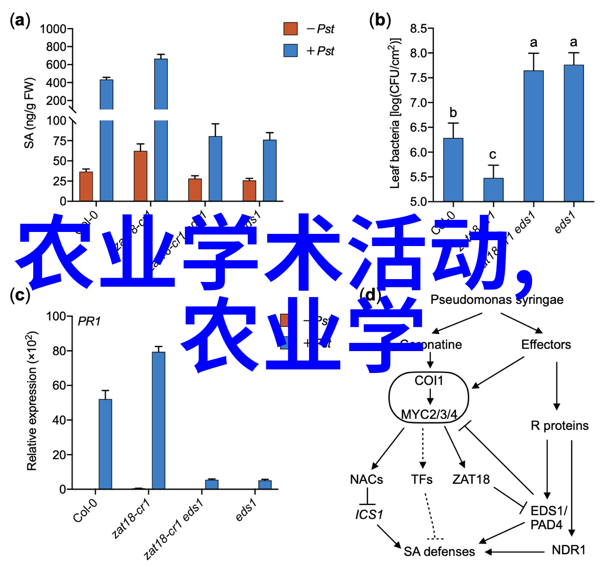 蔬菜种植技术大全书籍亲自种的智慧我是如何掌握蔬菜种植全套技巧的