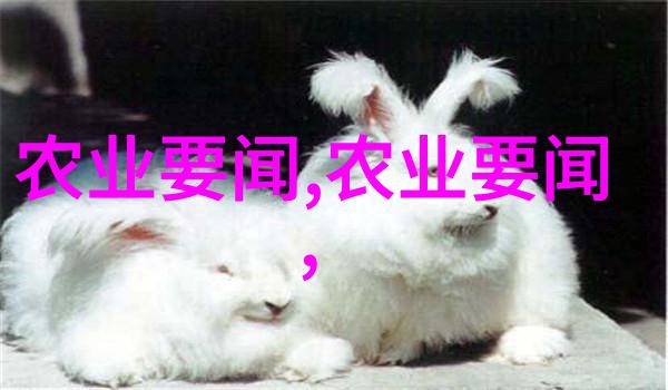室内十大吉利花绚烂的守护者