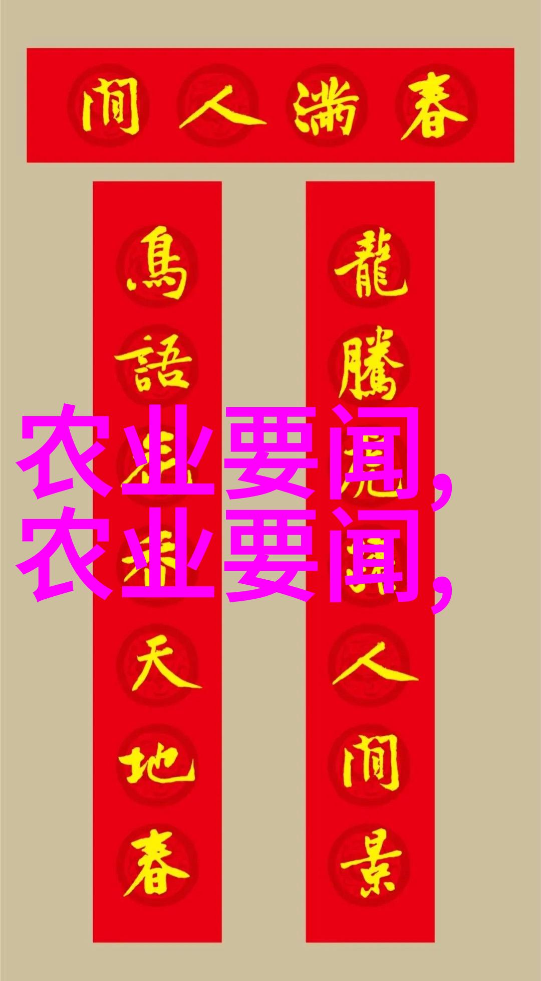 花开一分钱根深十公尺玉兰树背后的秘密