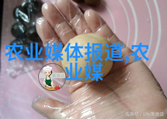 革命性农机深度解析大型旋耕起垄施肥一体机的优势