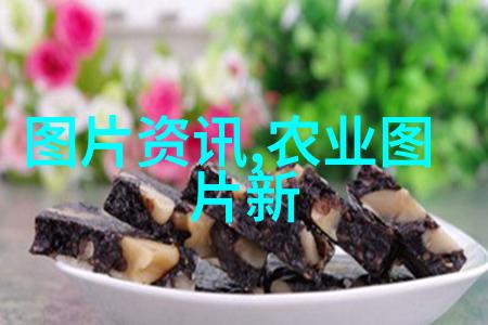 多肉植物图鉴探索千种奇迹