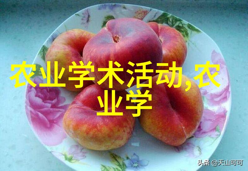 重生财阀千金-逆袭的贵族重生财阀千金的传奇