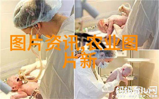 养殖信息-精准养殖提升农户收益的智能化农业解决方案
