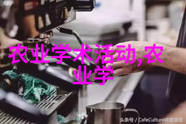 10公分美国红枫树的迷人魅力与市场价格探究