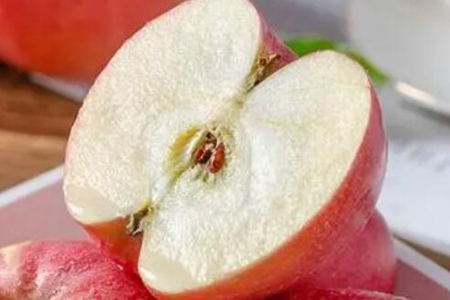 夏日蜜蜂的忙碌生活揭秘它们如何收集花粉和制作蜂蜜