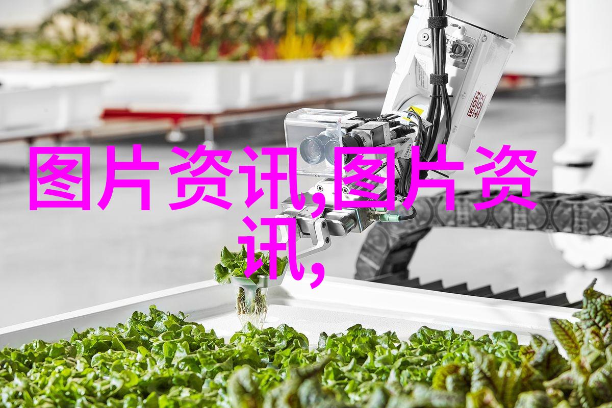 种植高值-added植物如香薰草迷迭香等的快速赚钱方法