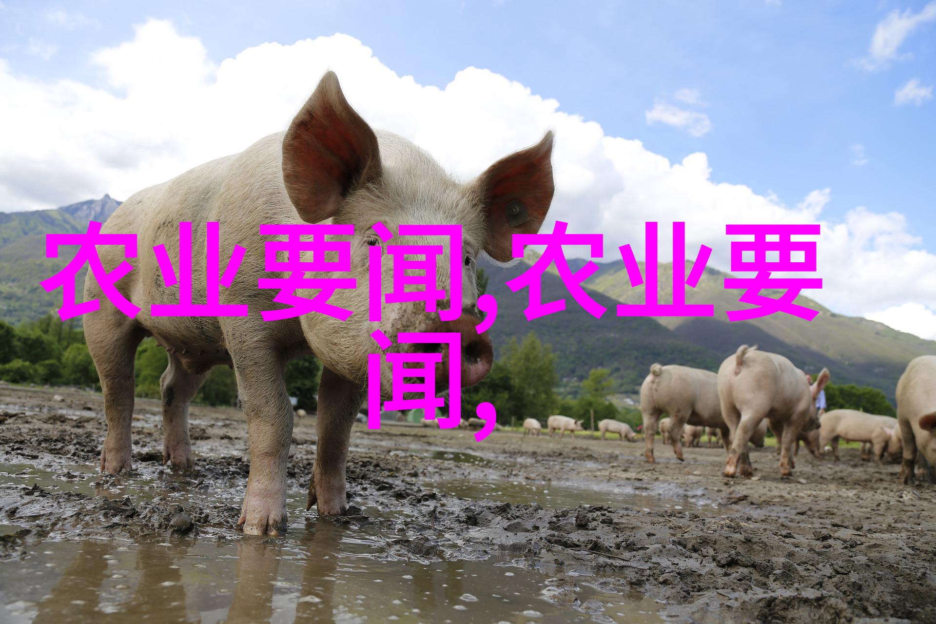 种下希望的田野揭秘农业培训课程背后的未知