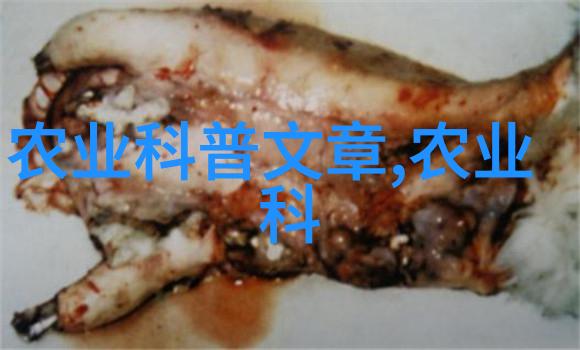 刘强东与茉莉花的故事电子商务巨擘与茶文化的巧遇
