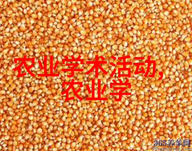 黄姜种植的智慧揭秘中药材高效栽培技术