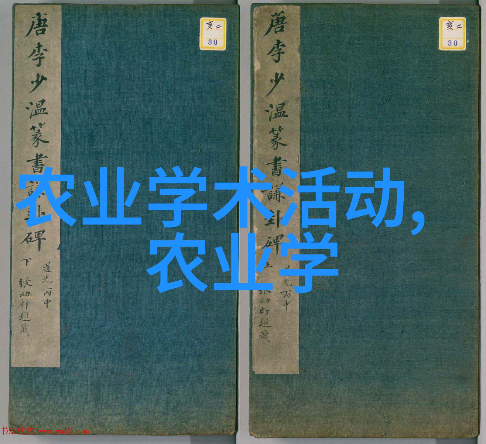 花香满园春日佳期的种植技巧与心得分享