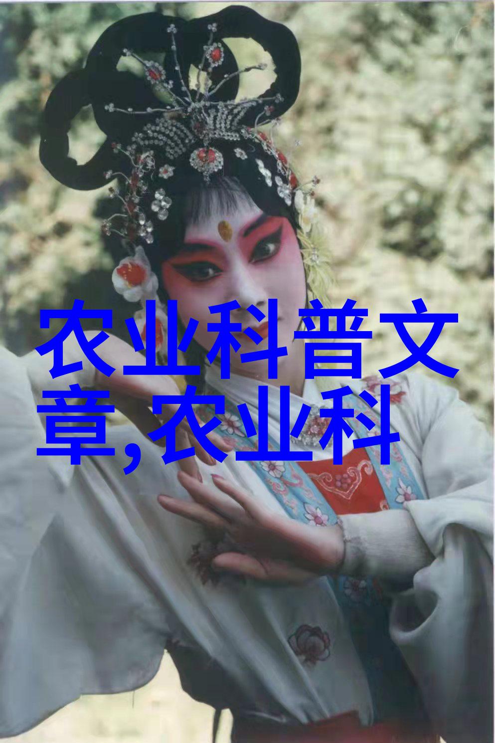 药材园地探索适合种植的中医宝石