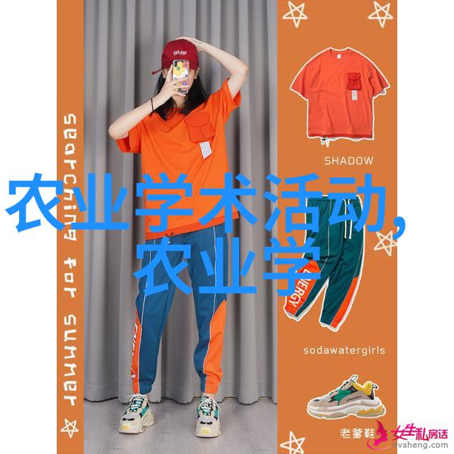 如何实现规模化的鸽子养殖并保证经济效益高
