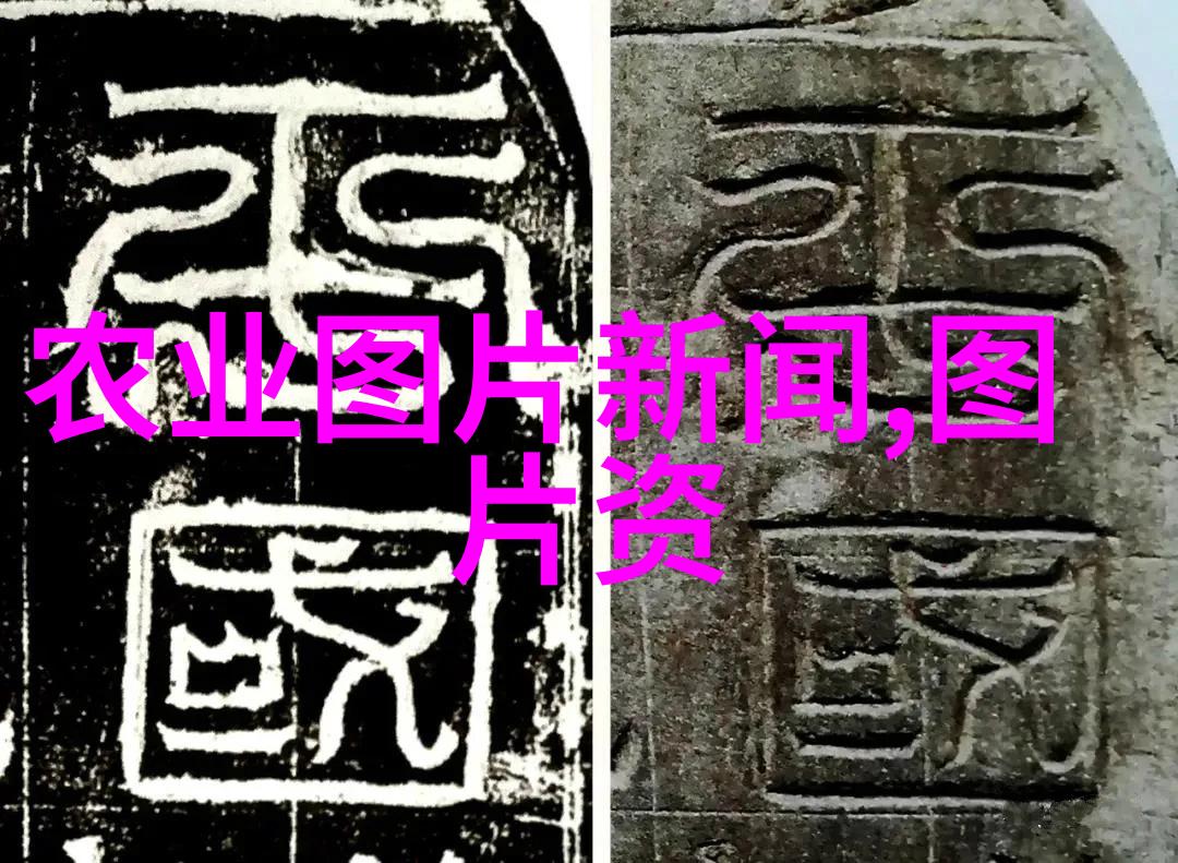 中央防疫二十条措施全文解读守护健康安全新篇章