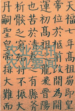 灵芝种植从土到金别让你的梦变成泥